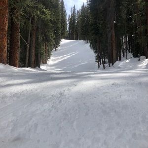 Meet your Posher, Laney